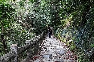 Japon -1 Et ça descend aussi !