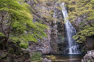 Japon -1373