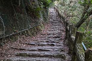 Japon -1376 ça monte raide