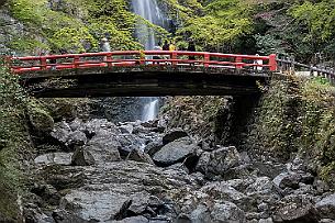 Japon -1386