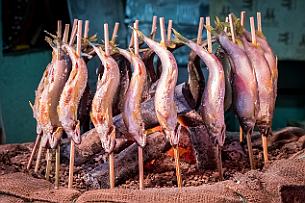 Japon -1394 Toujours pas gouté aux brochettes de poisson.