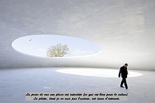 17Teshima-Museum-RNA-1291(1) Si elle est suivie par une autre et que le chemin est encore humide, elle prendra le même. Si c'est sec, elle en trouve un autre. Mais toujours pour aller au...