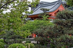 Japon -4018