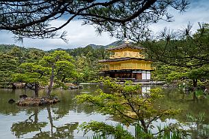 Japon -4109