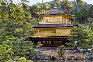 Japon -4117