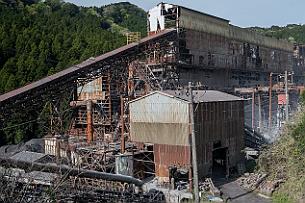 Japon -6054 Nous sommes perdus dans la campagne, et nous passons devant des usines effrayantes, des champs de thé, et une ferme incroyable qui cultive des fleurs.