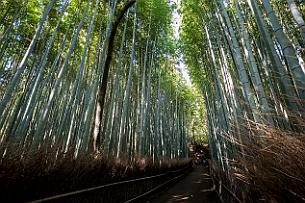 Japon -5676