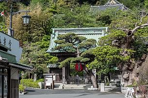Japon -6826a