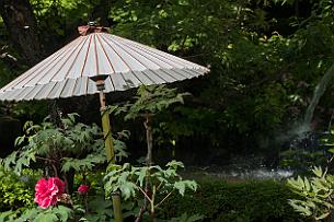 Japon -6985