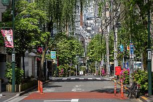 Japon -7675 9 millions d'habitants (1 de + que New York) et les rues sont supers calmes, souvent verdoyantes, avec très peu de voitures ... / ...