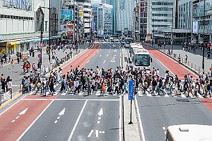 Japon -7681 Feu vert aux piétons, tous dans les clous ! Franchement ça fait du bien. Si si !