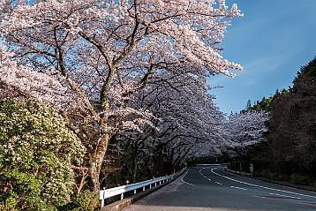 Hakone A l'aller & au retour