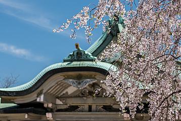 Osaka Chateau