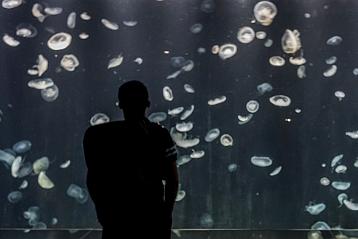 Osaka Aquarium