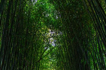 Chine_Moxalain_PERRIERE_13909 null