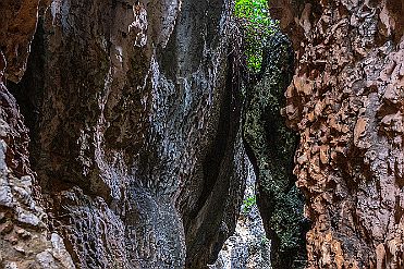 Chine_Moxalain_PERRIERE_13992 null