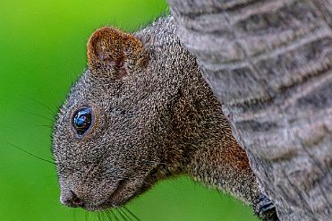 Chine_Moxalain_PERRIERE_20535 null