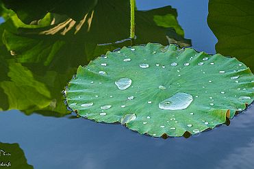 Chine_Moxalain_PERRIERE_20550 null