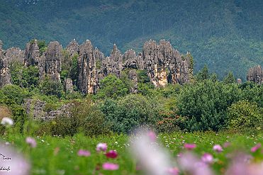 Chine_Moxalain_PERRIERE_20645 null