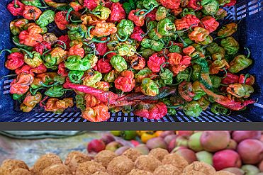 Chine_Moxalain_PERRIERE_14167 null