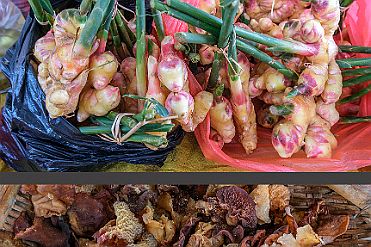 Chine_Moxalain_PERRIERE_14193 null