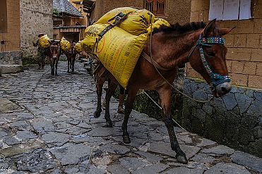 Chine_Moxalain_PERRIERE_14367 null