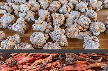 Chine_Moxalain_PERRIERE_15319 null