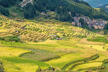 Chine_Moxalain_PERRIERE_20736 null