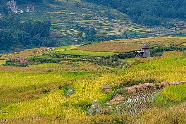 Chine_Moxalain_PERRIERE_20779 null