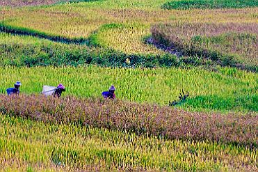 Chine_Moxalain_PERRIERE_20806 null