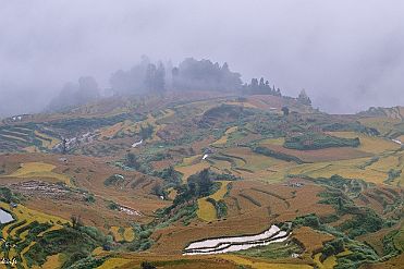 Chine_Moxalain_PERRIERE_20811 null