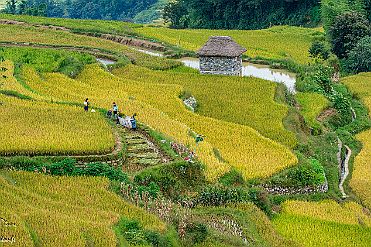 Chine_Moxalain_PERRIERE_21156 null