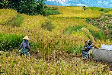 Chine_Moxalain_PERRIERE_21171 null