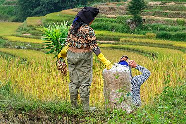 Chine_Moxalain_PERRIERE_21211 null