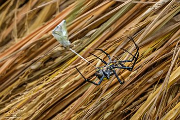 Chine_Moxalain_PERRIERE_21222 null