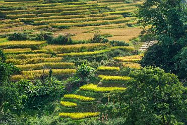 Chine_Moxalain_PERRIERE_21234 null