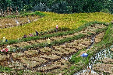 Chine_Moxalain_PERRIERE_21240 null