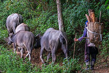 Chine_Moxalain_PERRIERE_21270 null