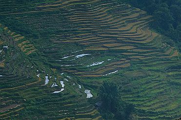 Chine_Moxalain_PERRIERE_21293 null