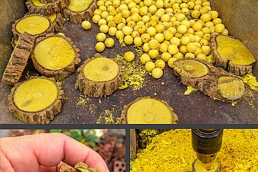 Chine_Moxalain_PERRIERE_15266 null