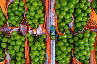 Chine_Moxalain_PERRIERE_15749 null