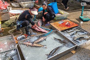 Chine_Moxalain_PERRIERE_15917 null