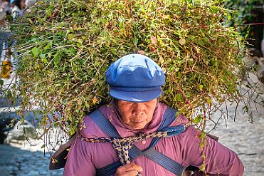 Chine_Moxalain_PERRIERE_22494 null