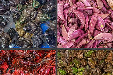 Chine_Moxalain_PERRIERE_17183 null