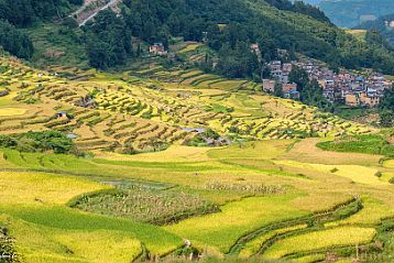 Yangyang - Duoyishu 09-15-Kunming