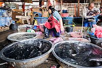 03 - DSCF0429