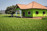 09 - DSCF5377