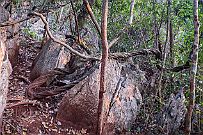 06 - DSCF1162
