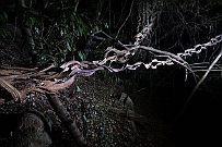 06 - DSCF1259