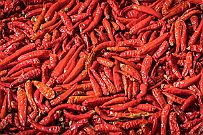 07 - DSCF2582
